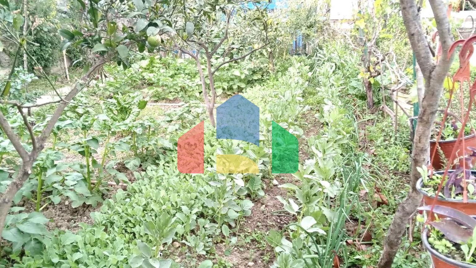 Дом с большим участком и видом на море в Баре