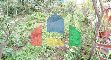 Дом с большим участком и видом на море в Баре