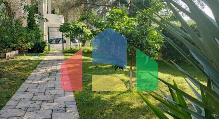 Просторный трёхэтажный особняк с садом и террасами в оливковой роще, Бар Просторный трёхэтажный особняк с садом и террасами в оливковой роще, Бар