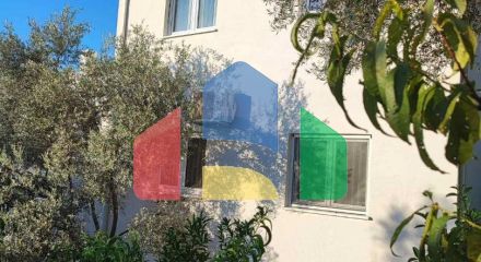 Просторный трёхэтажный особняк с садом и террасами в оливковой роще, Бар Просторный трёхэтажный особняк с садом и террасами в оливковой роще, Бар