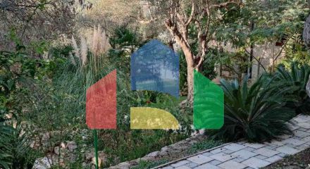 Просторный трёхэтажный особняк с садом и террасами в оливковой роще, Бар Просторный трёхэтажный особняк с садом и террасами в оливковой роще, Бар