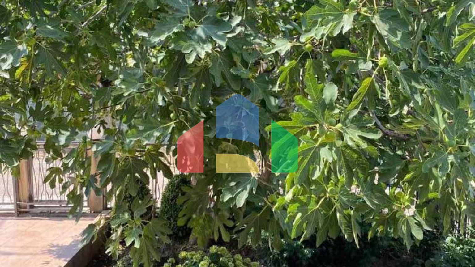 Дом в курортной зоне Добрые Воды