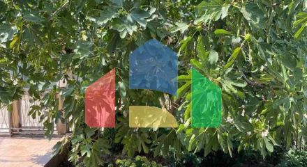 Дом в курортной зоне Добрые Воды