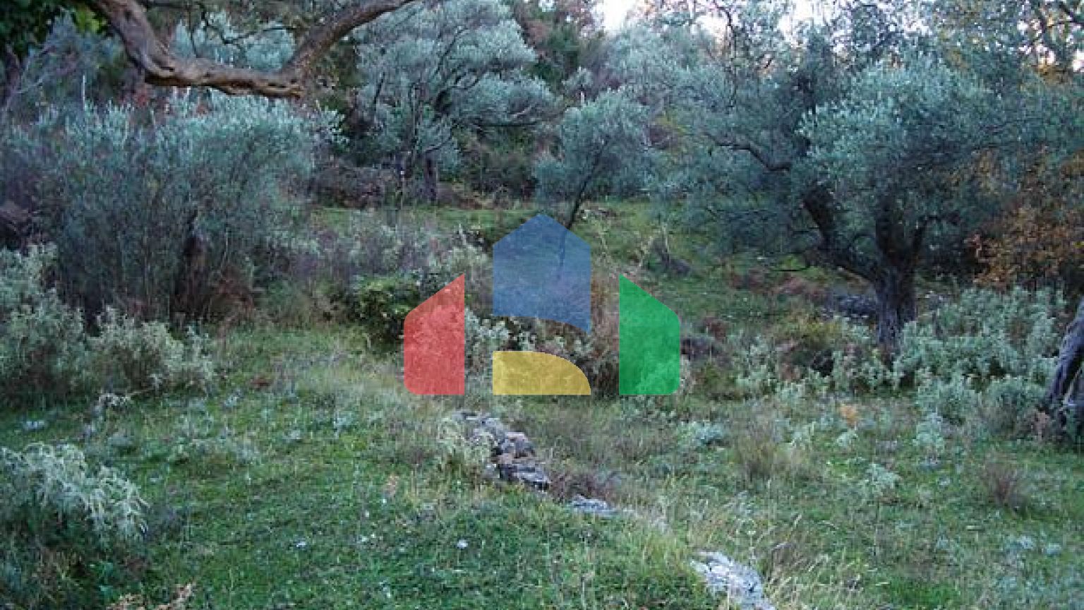 Участок в Баре