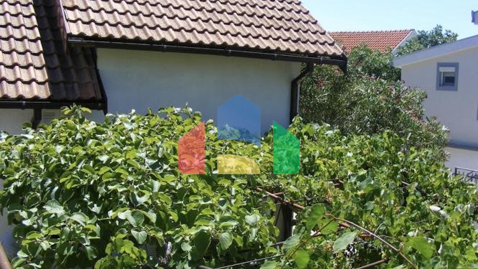 Два легальных дома в Шушани