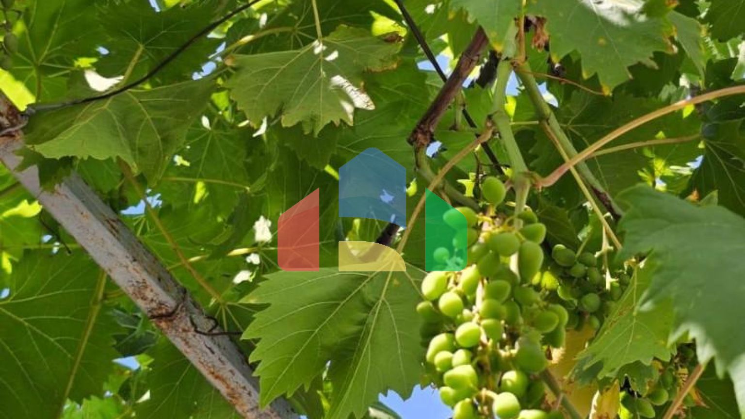 Продаётся дом с видом на море Бар, район Шушань