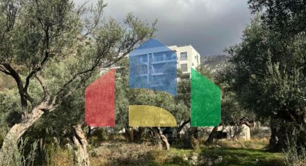 Apartment at a bargain price in Becici