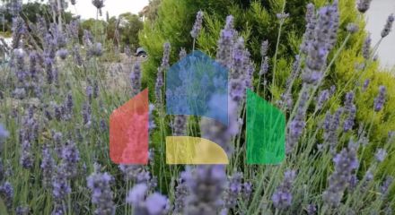 Продаются 3 дома с большим благоустроенным участком и с бассейном. Загора.