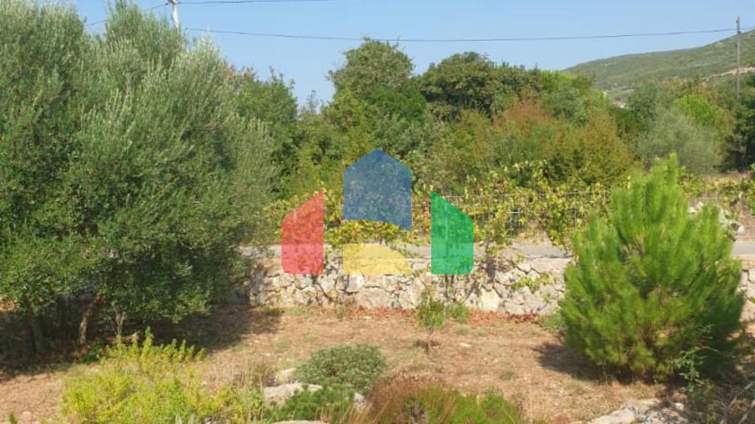 Продаются 3 дома с большим благоустроенным участком и с бассейном. Загора.