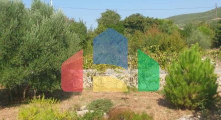 Продаются 3 дома с большим благоустроенным участком и с бассейном. Загора.