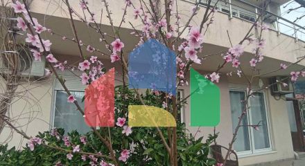 Продажа 4-х этажного дома со студиями в Будве Продажа 4-х этажного дома со студиями в Будве