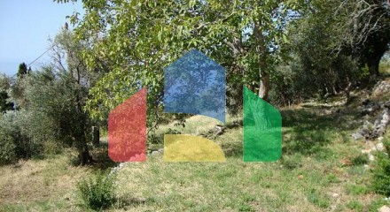 Участки в Будве