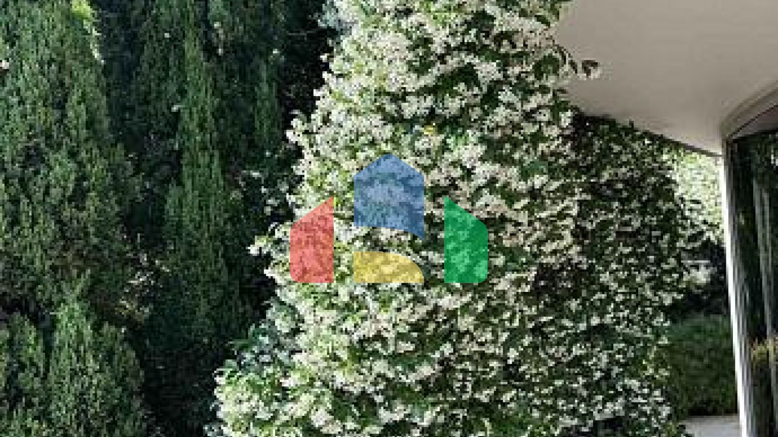 Роскошная квартира в Будве с видом на море