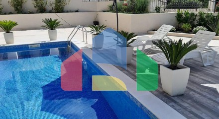 Villa with pool in Blizikuce