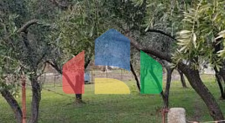 Plot in Buljarica