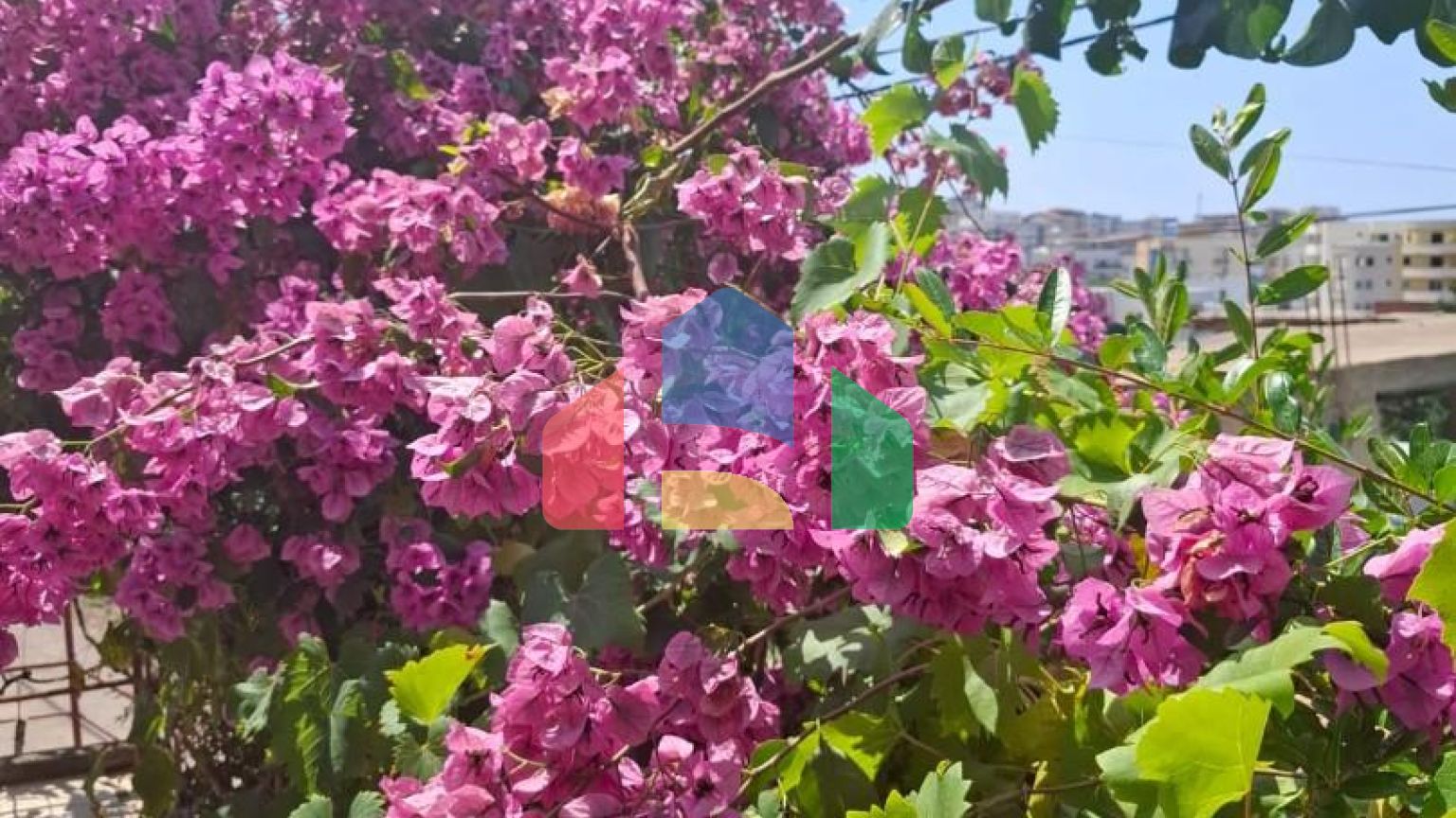 Дом в 150 метрах от моря в Добры Воды