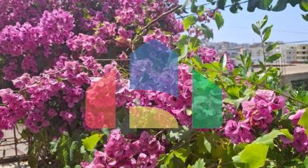 Дом в 150 метрах от моря в Добры Воды