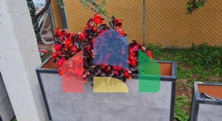 Предлагается к продаже Дом в Добра Воде ниже магистрали. Предлагается к продаже Дом в Добра Воде ниже магистрали.