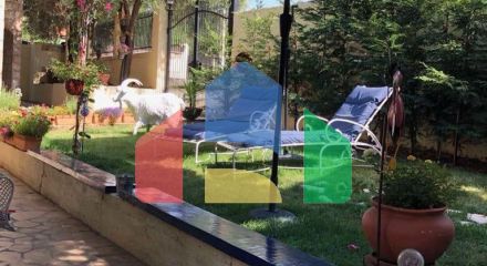 Отель с рестораном в одном из самых туристических мест Черногории, Добры воды. Отель с рестораном в одном из самых туристических мест Черногории, Добры воды.