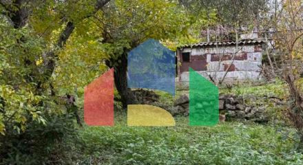 Имение с рушевиной и гостевым домиком в Херцег-Нови