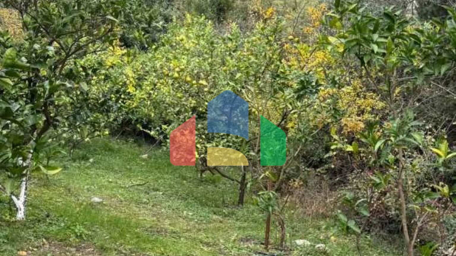 Имение с рушевиной и гостевым домиком в Херцег-Нови