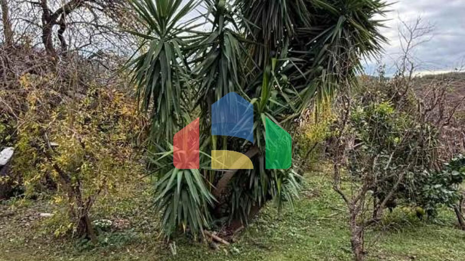 Имение с рушевиной и гостевым домиком в Херцег-Нови