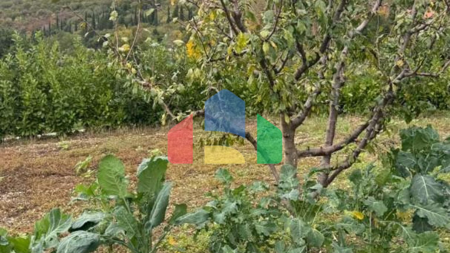 Имение с рушевиной и гостевым домиком в Херцег-Нови