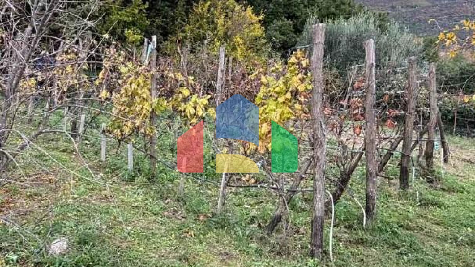 Имение с рушевиной и гостевым домиком в Херцег-Нови