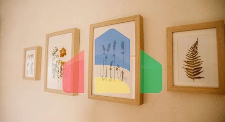 Шале в Колашине - рабочий бизнес!