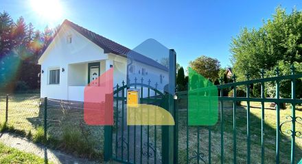 House for sale by the river surrounded by nature, town of Belo Pole, village of Voljavac