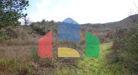 Участок в Радановичи