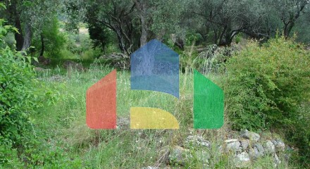 Land in Kotor