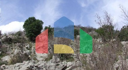 Plot in Kotor