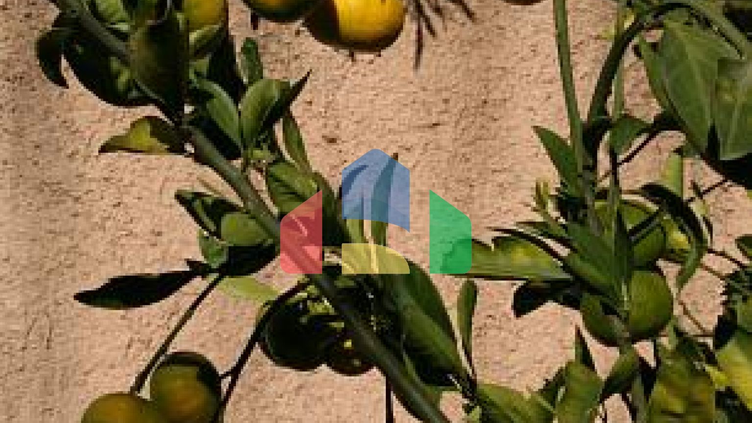 Виллa класса люкс с бассейном в Которе