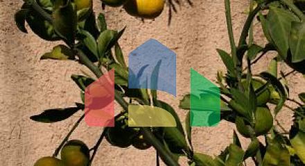 Виллa класса люкс с бассейном в Которе