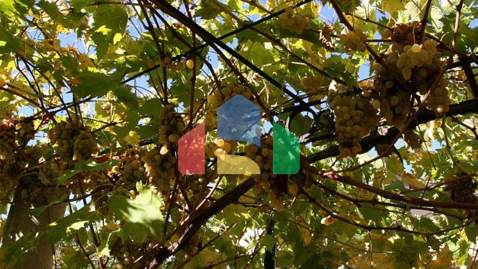 Виллa класса люкс с бассейном в Которе