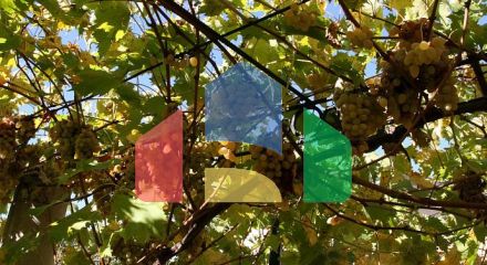 Виллa класса люкс с бассейном в Которе