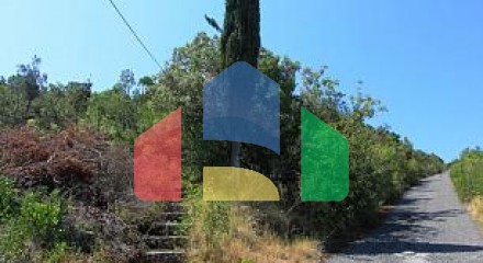 Plot in Bigovo