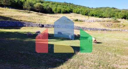 Urgent sale of house in Niksic
