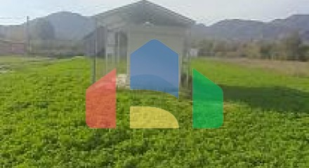 Plot for Sale in Grahovo