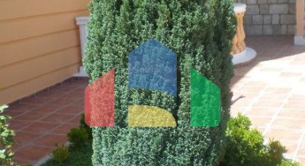 Эксклюзивная вилла в Петровац в отличном тихом месте