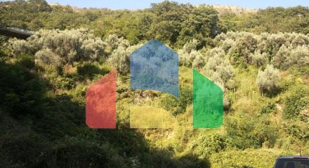 Участок в Петровац