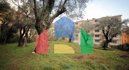 Plot in Petrovac