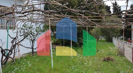 Легальный дом с просторным участком в Сутоморе Легальный дом с просторным участком в Сутоморе