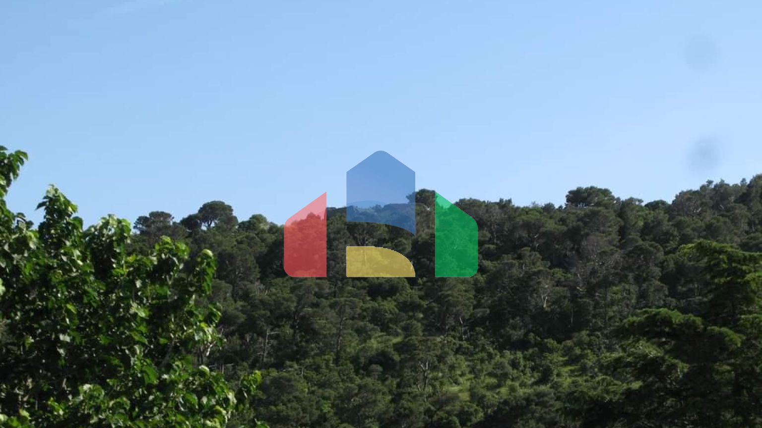 Мини-отель в Сутоморе в центре