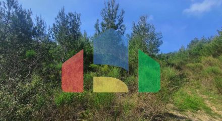Urbanized plot with sea view URGENTLY! - price 155'000 euros