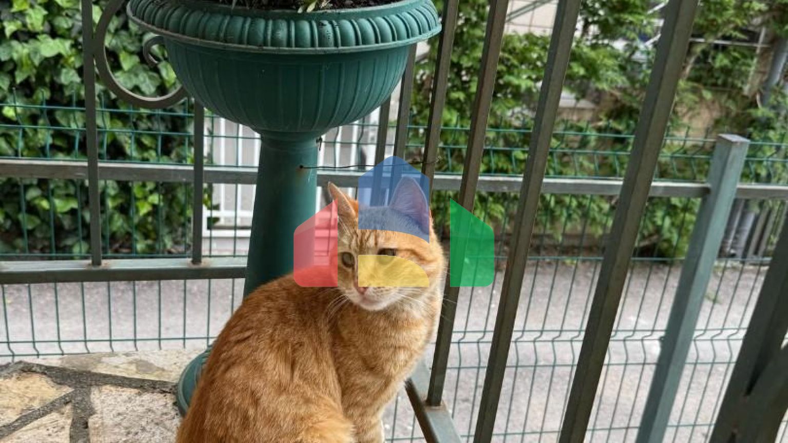 Просторный дом и апартаменты для аренды в Сутоморе.