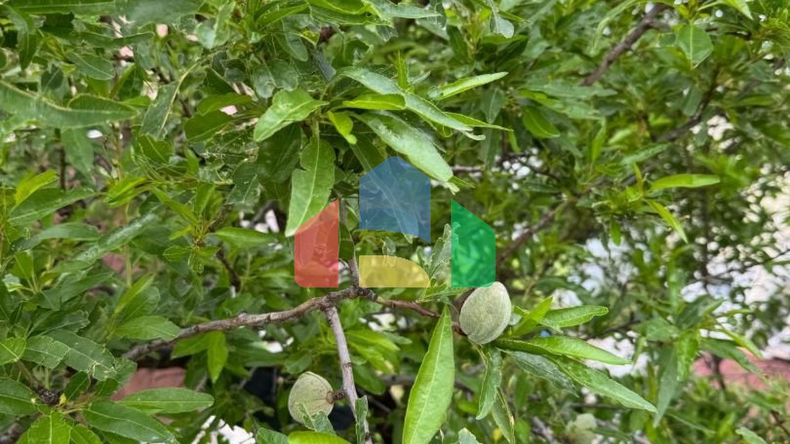 Просторный дом и апартаменты для аренды в Сутоморе.