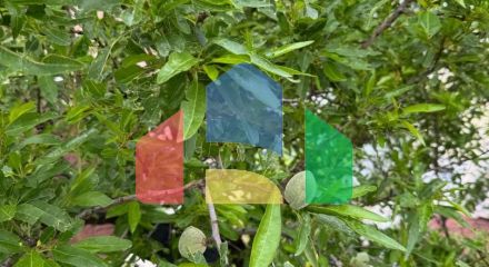 Просторный дом и апартаменты для аренды в Сутоморе.