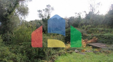 Land in Krasici
